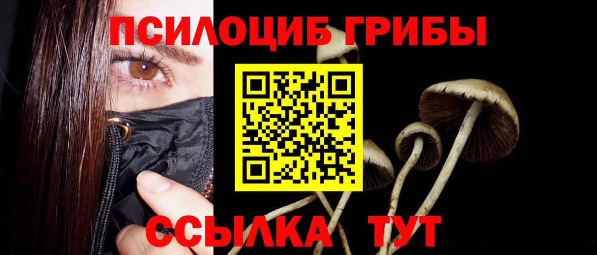 Галлюциногенные грибы MAGIC MUSHROOMS Шуя